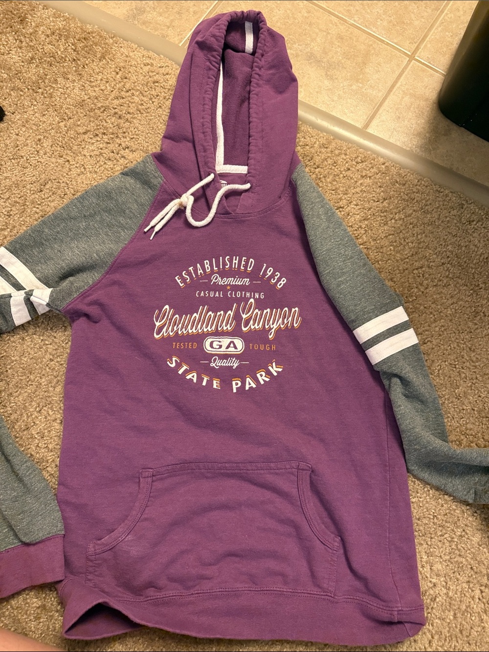 Cloudland Canyon Georgia Purple Hooded Pullover Sweatshirt